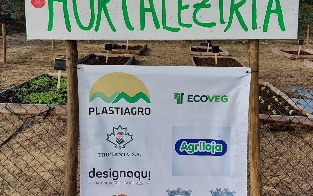 A HORTA na ECOLEZÍRIA!